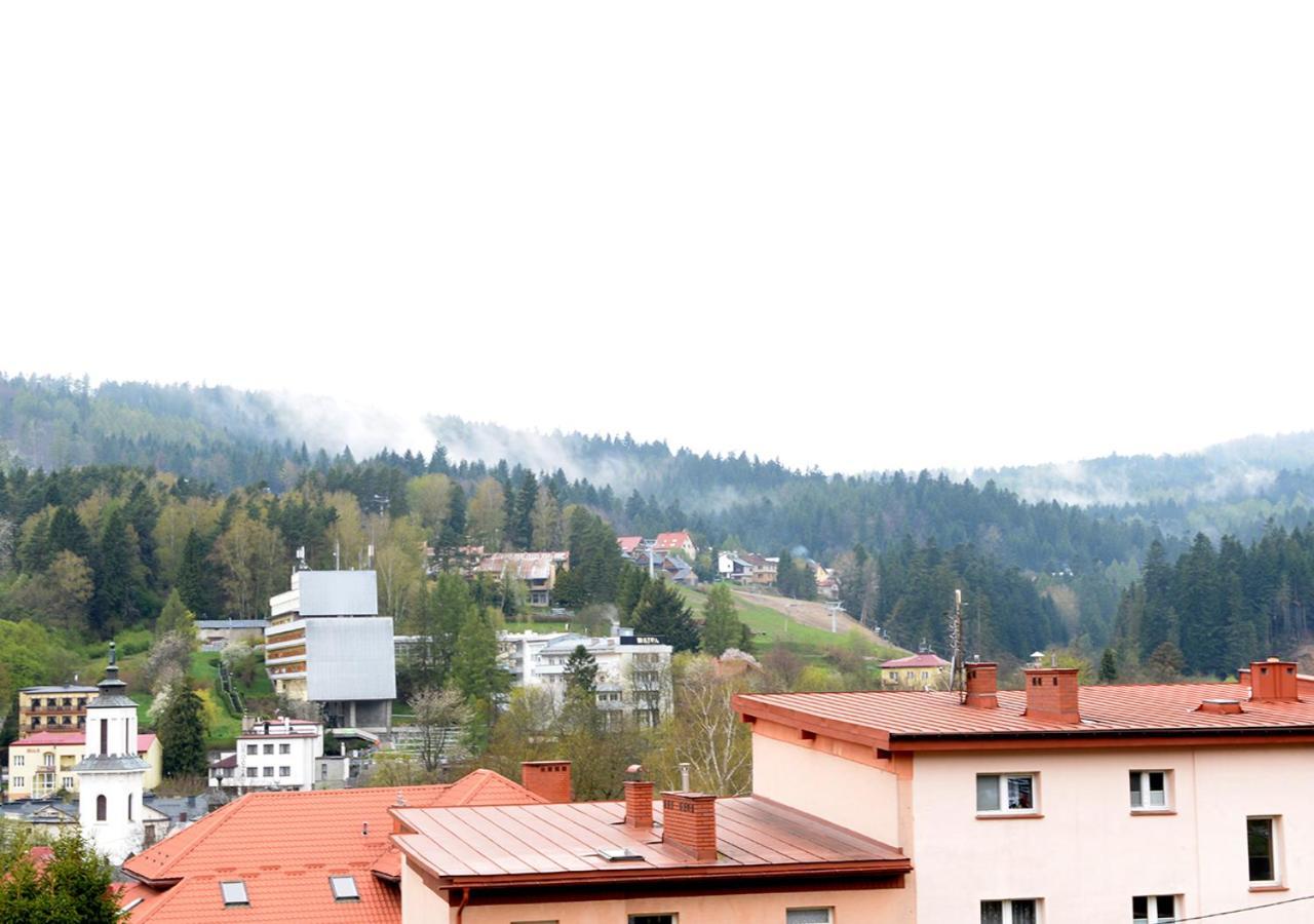 Gaja