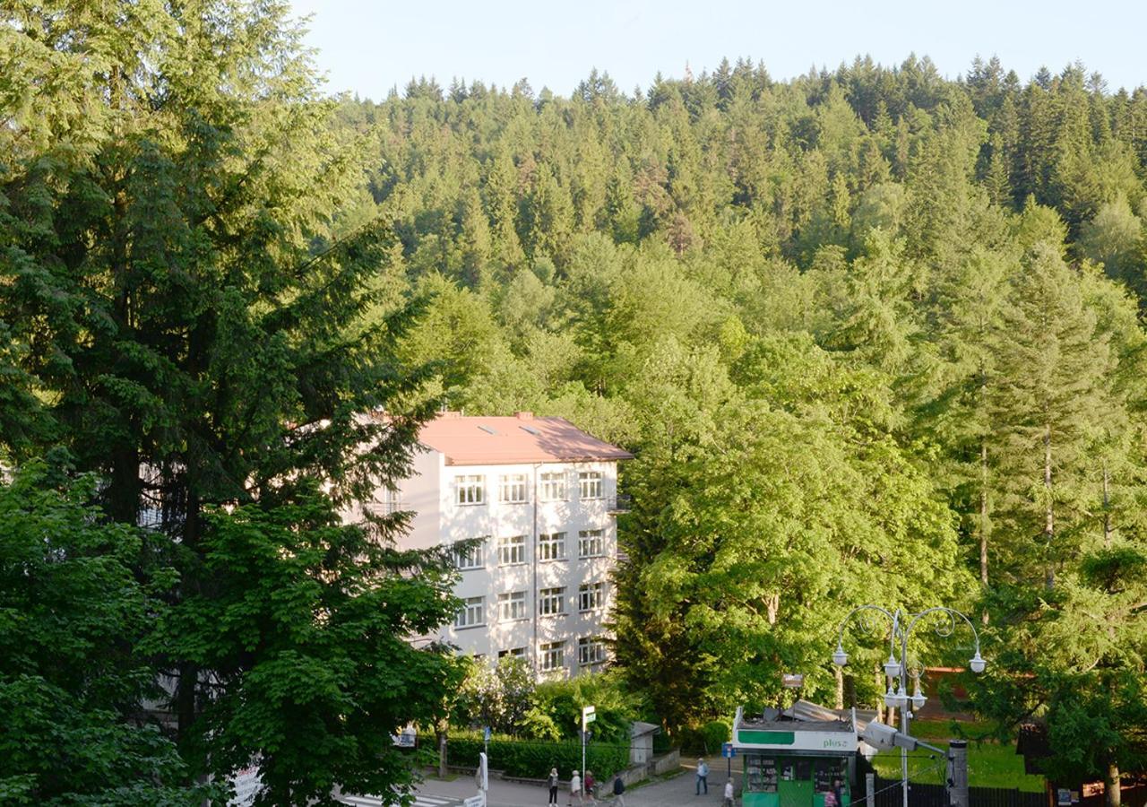 Gaja